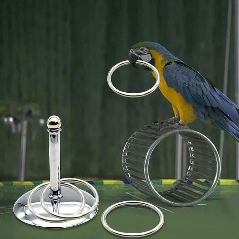 Bird Parrots Interactive Training Toys Intelligence Development