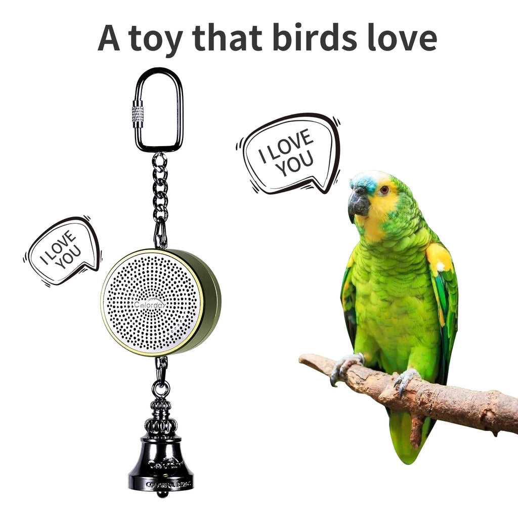 premium colorday Teaching Training Bird Talking Coach Interactive Recording