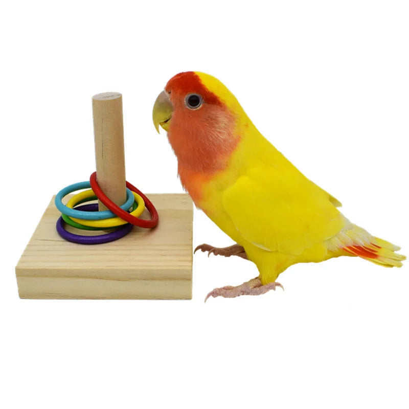 Bird Training Toys Set Wooden Block Puzzle Toys
