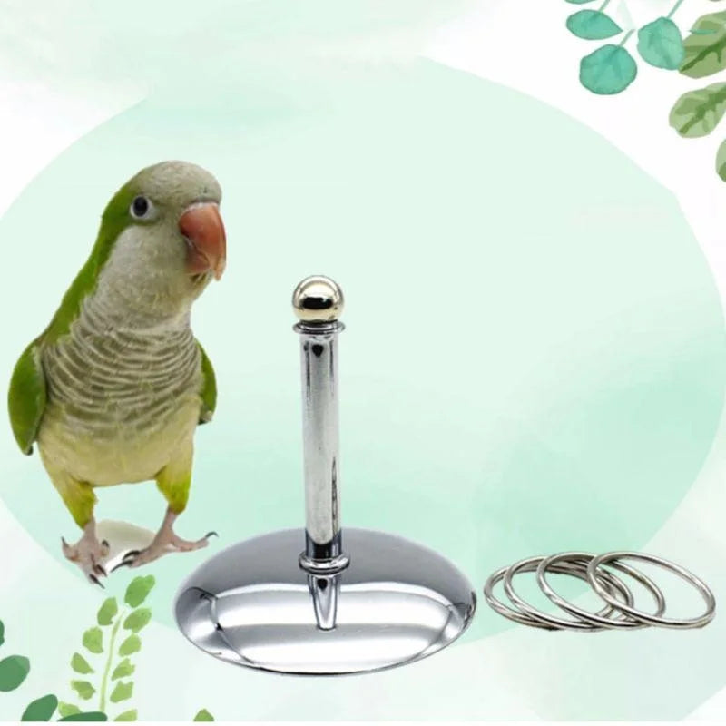 Bird Parrots Interactive Training Toys Intelligence Development