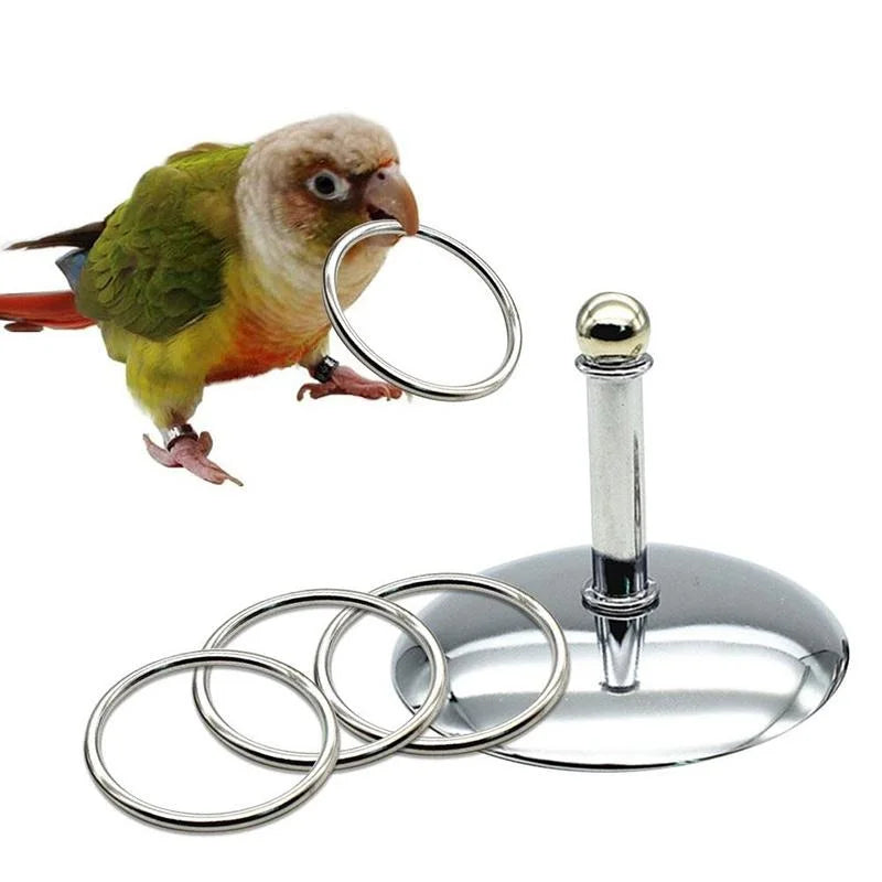 Bird Parrots Interactive Training Toys Intelligence Development